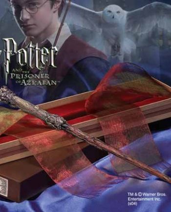 Moule à Chocogrenouilles Harry Potter - Deriv'Store - Les Spécialistes en  Figurines & Produits Dérivés Geek