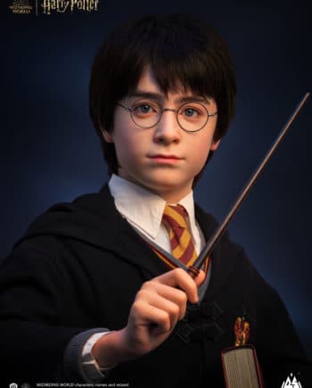 Coffret Cadeau Harry Potter Trouble Finds Me - Deriv'Store