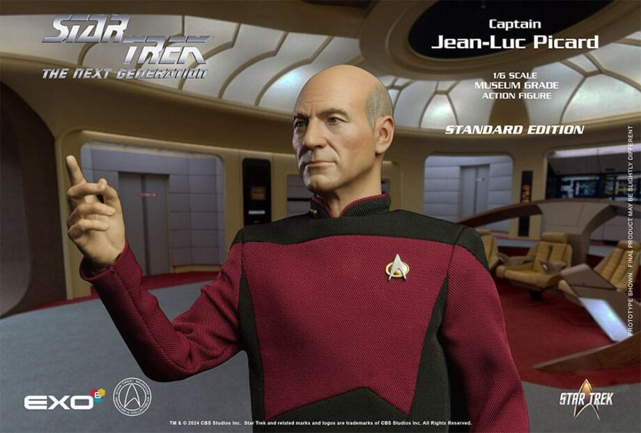 Figurine Captain Jean-Luc Picard Star Trek : The Next Generation