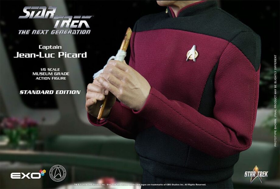 Figurine Captain Jean-Luc Picard Star Trek : The Next Generation