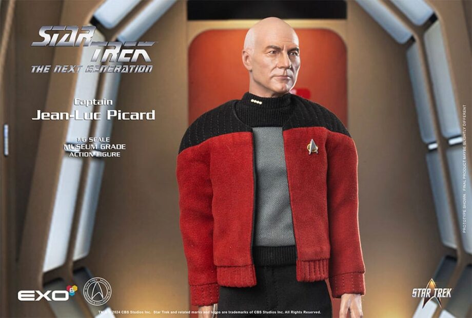 Figurine Captain Jean-Luc Picard Star Trek : The Next Generation