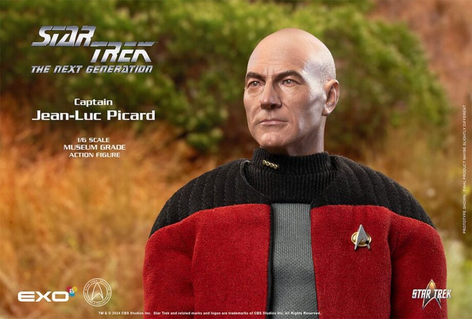 Figurine Captain Jean-Luc Picard Star Trek : The Next Generation